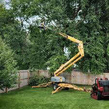 Best Tree Risk Assessment  in Huntsville, AR